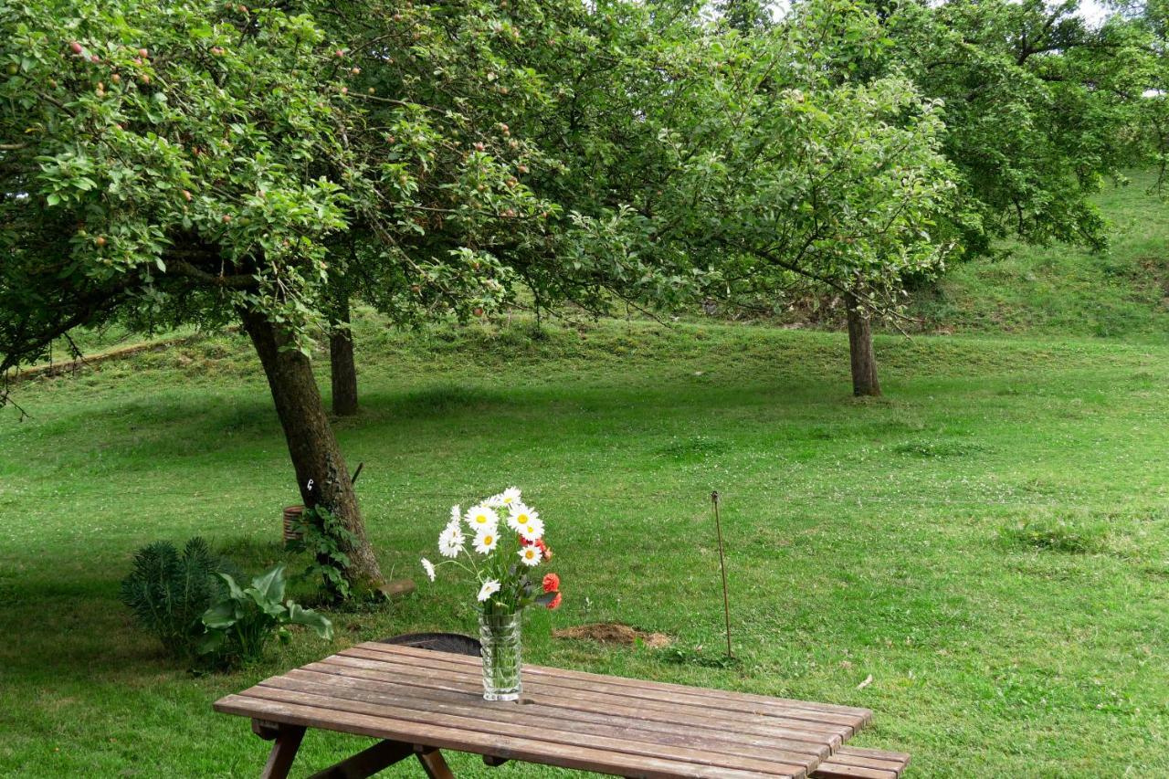 La Petite Maison O Bord De L'Eau Bernieres-le-Patry Eksteriør bilde