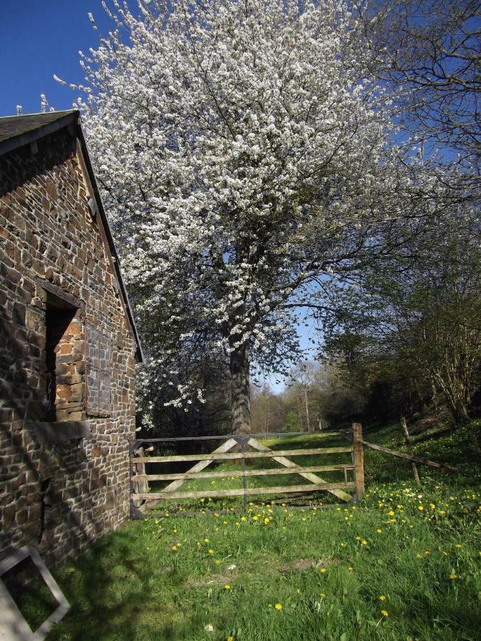 La Petite Maison O Bord De L'Eau Bernieres-le-Patry Eksteriør bilde